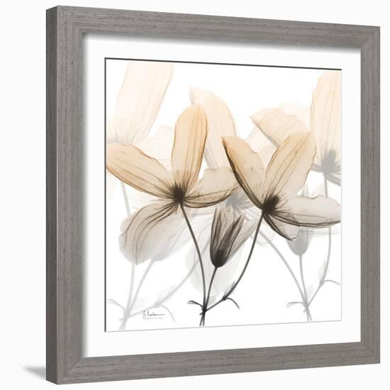 Bittersweet Clematis-Albert Koetsier-Framed Photographic Print