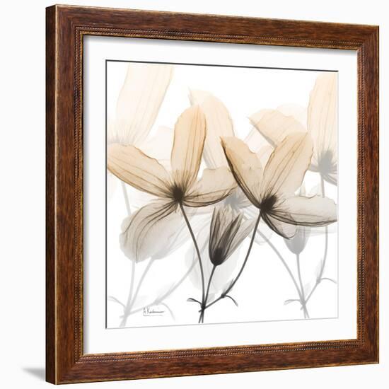 Bittersweet Clematis-Albert Koetsier-Framed Photographic Print