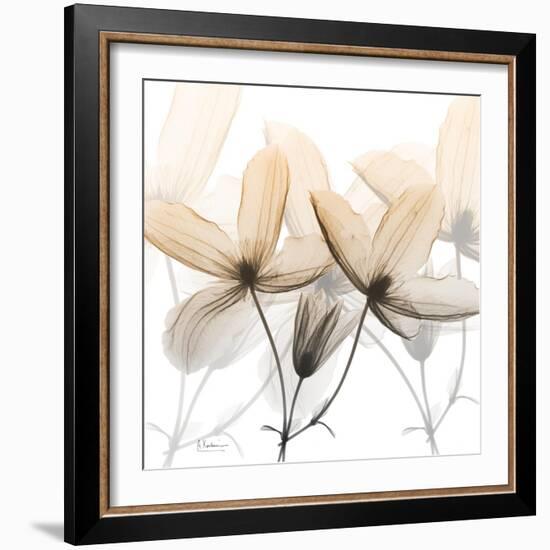 Bittersweet Clematis-Albert Koetsier-Framed Photographic Print