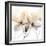 Bittersweet Clematis-Albert Koetsier-Framed Photographic Print