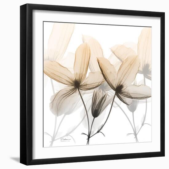 Bittersweet Clematis-Albert Koetsier-Framed Photographic Print