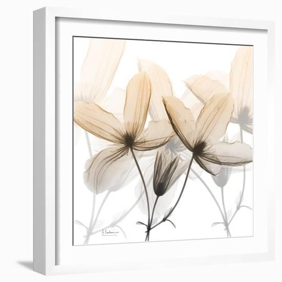 Bittersweet Clematis-Albert Koetsier-Framed Photographic Print