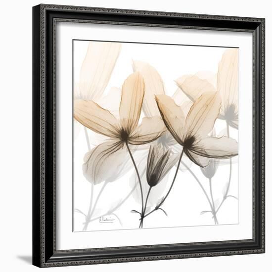 Bittersweet Clematis-Albert Koetsier-Framed Photographic Print