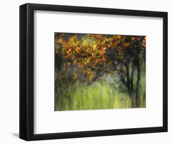 Bittersweet-Ursula Abresch-Framed Photographic Print