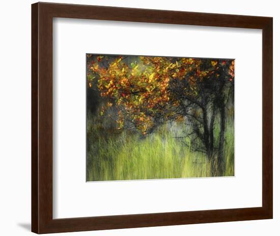 Bittersweet-Ursula Abresch-Framed Photographic Print