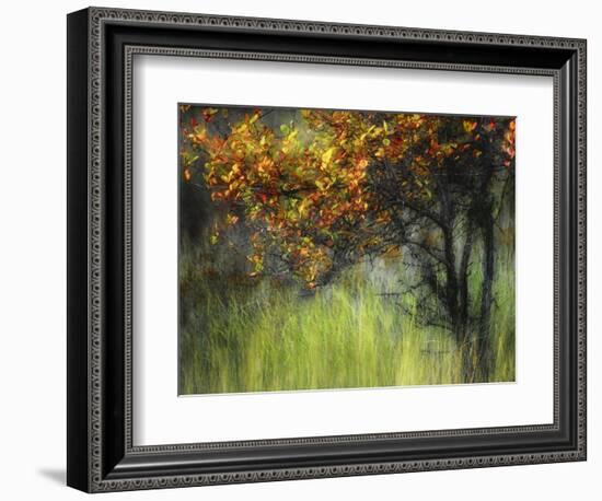 Bittersweet-Ursula Abresch-Framed Photographic Print