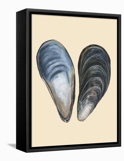 Bivalve Shells I-Michael Willett-Framed Stretched Canvas