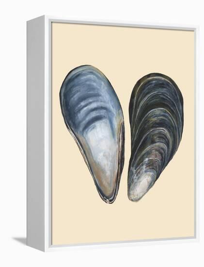 Bivalve Shells I-Michael Willett-Framed Stretched Canvas