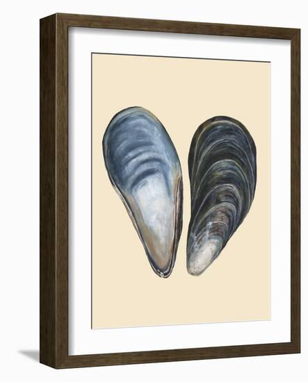 Bivalve Shells I-Michael Willett-Framed Art Print