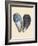 Bivalve Shells I-Michael Willett-Framed Art Print