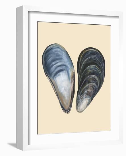 Bivalve Shells I-Michael Willett-Framed Art Print