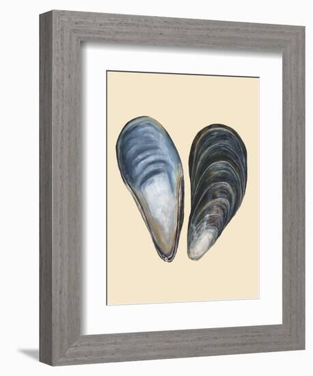 Bivalve Shells I-Michael Willett-Framed Premium Giclee Print