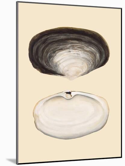 Bivalve Shells II-Michael Willett-Mounted Art Print