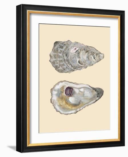 Bivalve Shells IV-Michael Willett-Framed Art Print