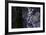 bizarre dead wood-Klaus Scholz-Framed Photographic Print