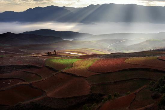 Photographic Print, , large