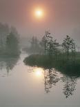Timber Floating on a River-Bjorn Svensson-Photographic Print