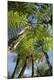 Premium Photographic Print