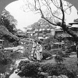 The Sacred Road to Nikko, Japan, 1905-BL Singley-Photographic Print