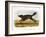 Black American Wolf-John James Audubon-Framed Giclee Print