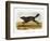 Black American Wolf-John James Audubon-Framed Giclee Print