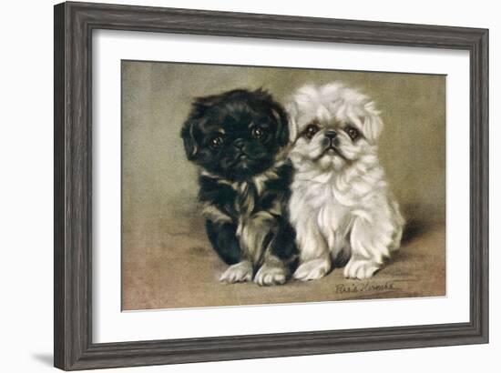 Black and a White Pekingese Puppy Sit Close Together-P. Kirmse-Framed Art Print