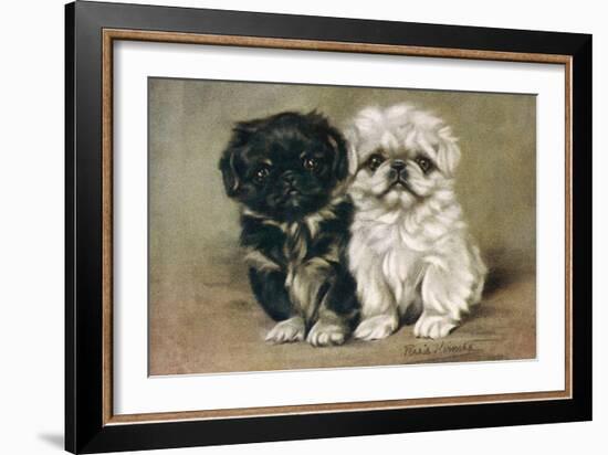 Black and a White Pekingese Puppy Sit Close Together-P. Kirmse-Framed Art Print