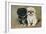 Black and a White Pekingese Puppy Sit Close Together-P. Kirmse-Framed Art Print