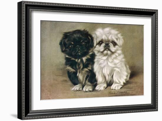 Black and a White Pekingese Puppy Sit Close Together-P. Kirmse-Framed Art Print