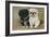 Black and a White Pekingese Puppy Sit Close Together-P. Kirmse-Framed Art Print