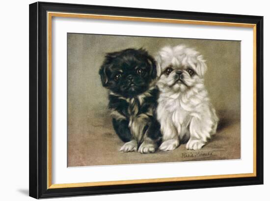 Black and a White Pekingese Puppy Sit Close Together-P. Kirmse-Framed Art Print