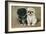 Black and a White Pekingese Puppy Sit Close Together-P. Kirmse-Framed Art Print