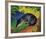 Black and Blue Fox-Franz Marc-Framed Giclee Print