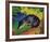 Black and Blue Fox-Franz Marc-Framed Giclee Print