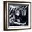 Black and Chrome II-Ethan Harper-Framed Art Print