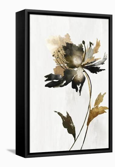 Black and Gold Floral-Alex Black-Framed Stretched Canvas