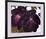 Black And Purple Petunias-Georgia O'Keeffe-Framed Art Print