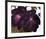 Black and Purple Petunias-Georgia O'Keeffe-Framed Art Print