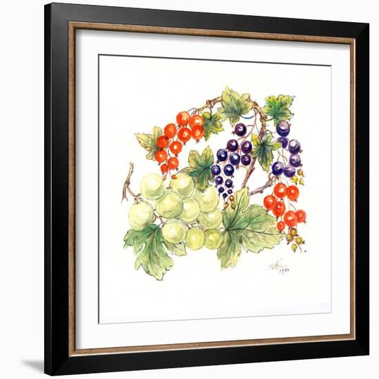 Black and Red Currants with Green Grapes, 1986-Nell Hill-Framed Giclee Print