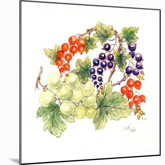 Black and Red Currants with Green Grapes, 1986-Nell Hill-Mounted Giclee Print