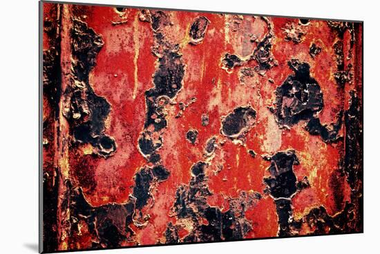 Black and Red Rust-null-Mounted Photo