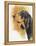 Black and Tan CoonHound-Barbara Keith-Framed Premier Image Canvas