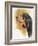 Black and Tan CoonHound-Barbara Keith-Framed Giclee Print