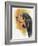 Black and Tan CoonHound-Barbara Keith-Framed Giclee Print