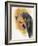 Black and Tan CoonHound-Barbara Keith-Framed Giclee Print