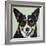 Black and Tan Corgi-Carolee Vitaletti-Framed Art Print