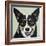 Black and Tan Corgi-Carolee Vitaletti-Framed Art Print