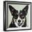 Black and Tan Corgi-Carolee Vitaletti-Framed Art Print