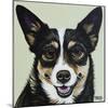 Black and Tan Corgi-Carolee Vitaletti-Mounted Art Print