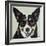 Black and Tan Corgi-Carolee Vitaletti-Framed Art Print